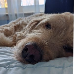 Meet your Posher, Christine